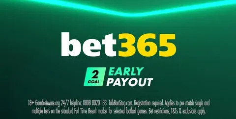 afiliados sportingbet 