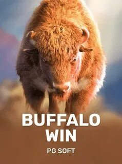 bet 355 app 