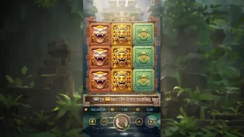 cassino online 5555bet 