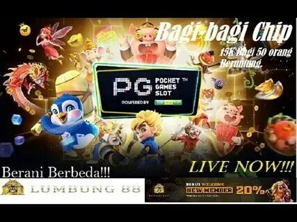 mgm apostas 